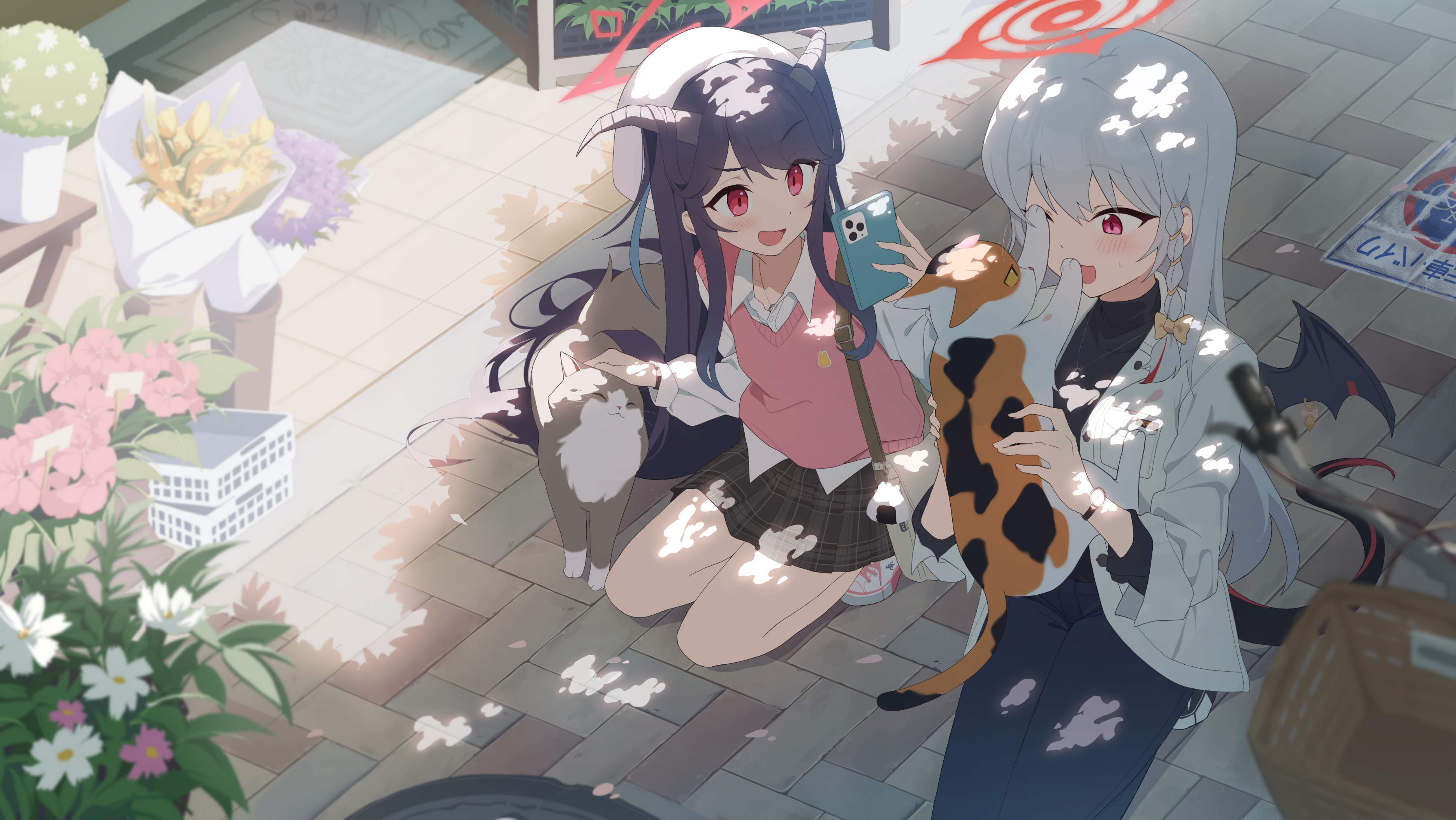 background picture of the home page